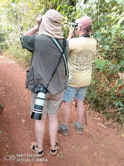 ATIWA forest range