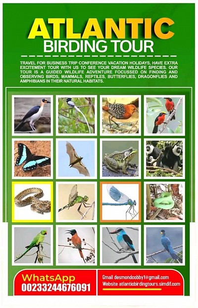 Birding and cultural tours